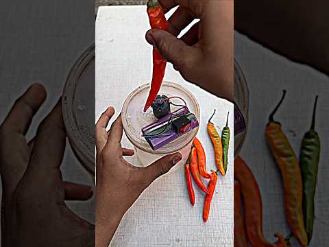 Powerful Mini Chilli Cutter Machine 🌶️ DIY | Easy Home Project #DIY #ChilliCutter #HomemadeMachine