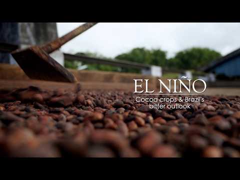 Inside El Nino – Cocoa crops and Brazil's bitter outlook