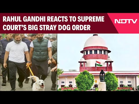 Rahul Gandhi On Stray Dogs | Rahul Gandhi Calls Supreme Court's Stray Dog Order A 'Step Back'
