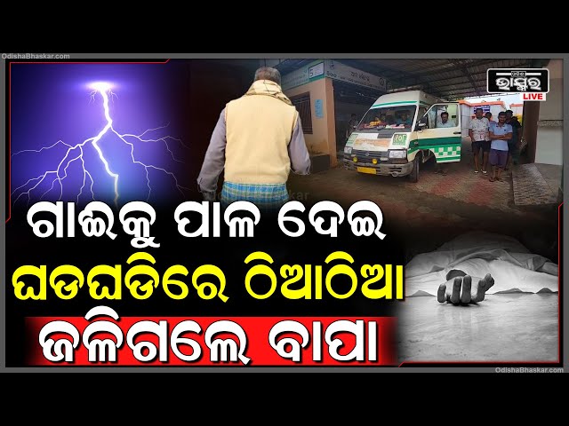 ଗାଈକୁ ପାଳ ଦେବାକୁ ଯାଇ ଚାଲିଗଲେ ବାପା,ଠିଆ ଠିଆ ଜୀବନ ନେଇଗଲା ଘଡଘଡି,ଆଉ ଜଣେ ମହିଳା ଗୁରୁତର ହୋଇ ମେଡିକାଲରେଭର୍ତ୍ତି