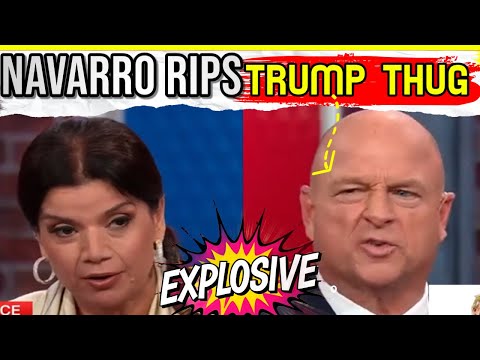 'Oh stop': EXPLOSIVE CNN NAVARRO shuts down CRAZY GOP THUG defending Trump's RACEHATE