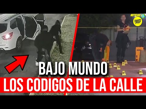 BAJO MUNDO: LOS CODIGOS DE LA CALLE! HABLAMOS DE CHOTAS, INSECTOS Y MAS (EDUCACION DE LA CALLE)