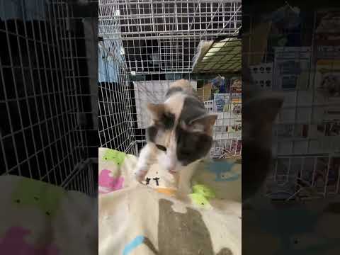 thumbnail_YW2mI3JMyEw