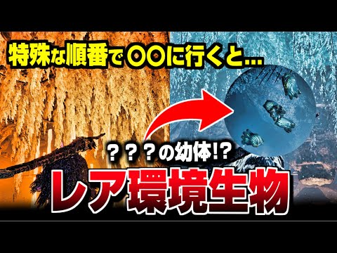 【モンハンワイルズ】レア環境生物「ヌヤヤ」出現条件 小ネタ•隠し要素【Monster Hunter Wilds】【モンスターハンターワイルズ/PS5/steam】