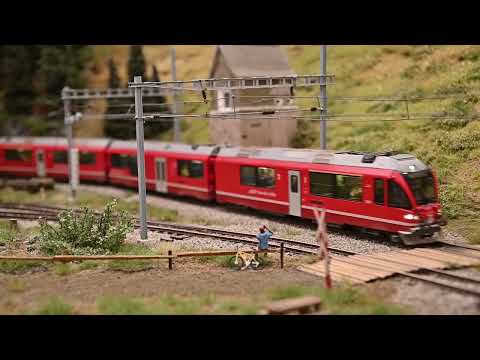 Gele, rode en zilveren RhB treinen  | Yellow, red and silver RhB trains