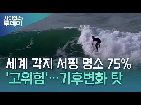 세계 각지 서핑 명소 75% '고위험'...기후변화·해안개발 탓 / YTN 사이언스