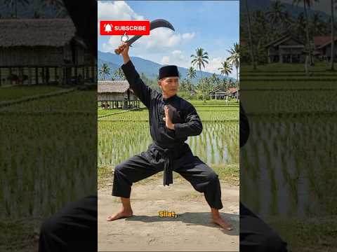 silat Indonesia #shorts #silat #latihansilat