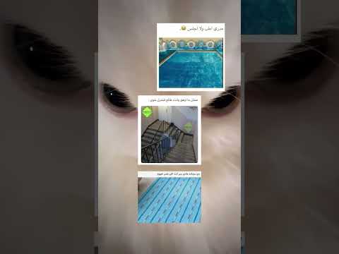 #shorts #bts #fyp #jk #jungkook #statusvideo #foryou #funny #تصميمي #اكسبلور