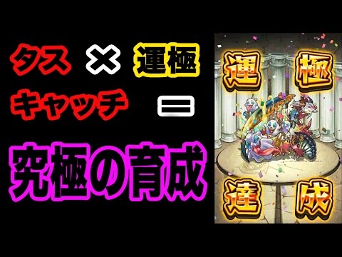 【究極の育成方法】タスキャッチと運極の合成を同時に行い低コストで育成できる方法 たくたくのモンスト育成