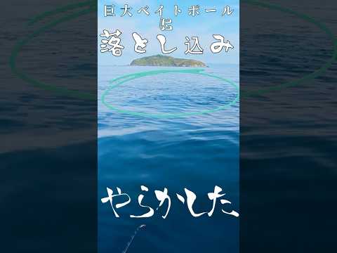 ［プレジャーボート］やらかした落とし込み！　イワシにアジのベイトボールの中に落としたら！　＃ダイソー＃青物＃落とし込み＃サビキ＃大阪湾＃和歌山湾＃ボート＃釣り＃加太＃友ケ島 #fishing