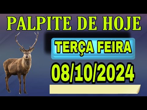 PALPITE DO NETO 08/10/2024