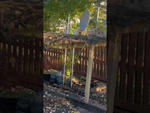 ngày 31 tháng 10, 2025