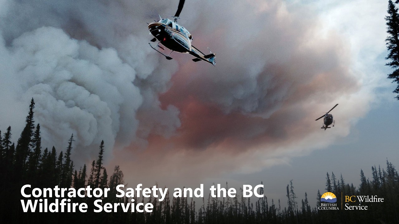 The BC Forest Safety Council – Safety is good business