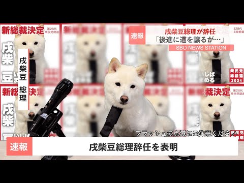 戌柴豆総理が辞任を表明【緊急記者会見】