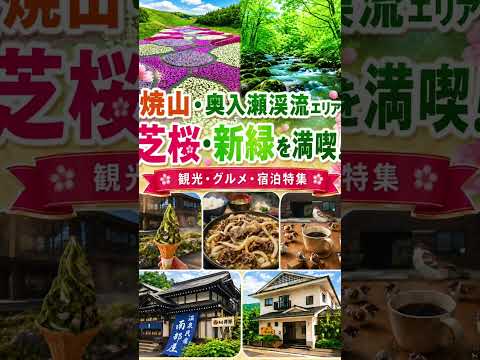 奥入瀬渓流・焼山・エリアで「芝桜」と「新緑」を満喫!