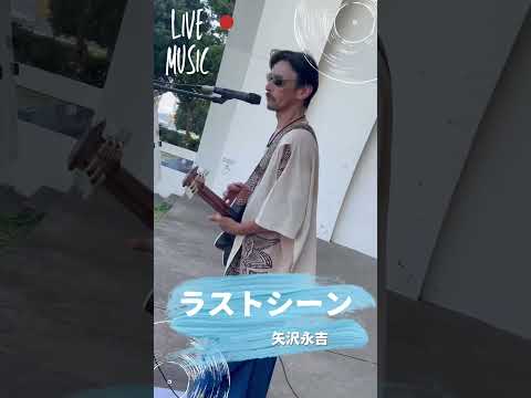 暑い夏の日に…🎸#ラストシーン #矢沢永吉 #カバー曲 #大工さんはギタリスト #弾き語り #歌ってみた #ovation #三笠公園 #横須賀
