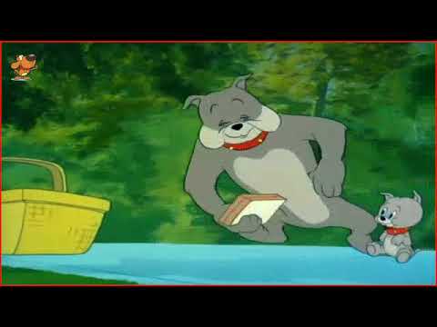 Cartoons For Kids   Tom and Jerry Episode 91   Pup on a Picnic Part 2
