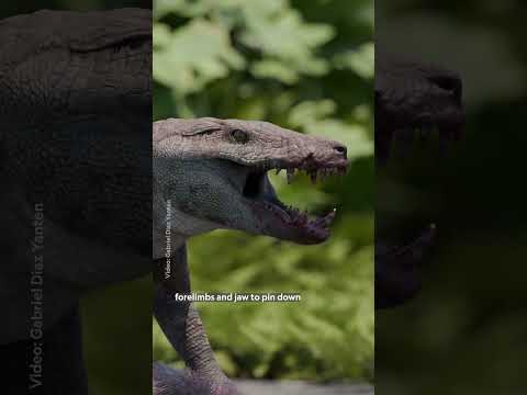 New Dino alert?!?! 😱 #NationalGeographic #Paleontologist