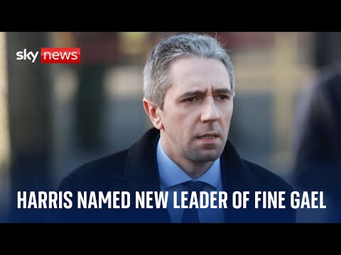 Simon Harris confirmed as new leader of Fine Gael