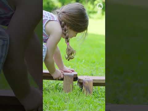 video screenshot