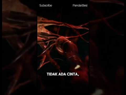 Apa yang terjadi jika manusia tidak memiliki akal?! #short #youtubeshorts #faktaunik