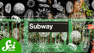 Thumbnail for the video "What's Really Living in the Subway" from SciShow