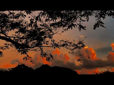 lana del rey - west coast (chorus loop / dream version)