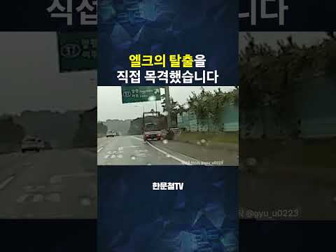 #6142. 엘크는 처음 봅니다