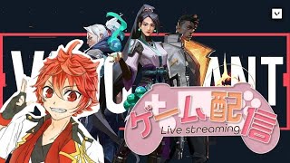 VAROLANT　やっちゃいますか