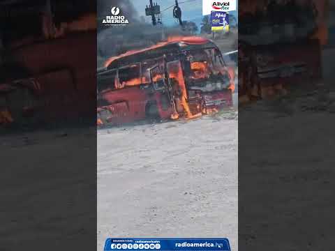 Incendio de bus en Lucerna