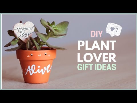 DIY Gift Ideas for Plant Lovers | Easy Birthday Gift Ideas!
