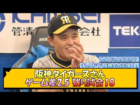 阪神タイガースさん(ゲーム差2.5 残り試合18)【なんJ/2ch/5ch/ネット 反応 まとめ/阪神タイガース/岡田監督】