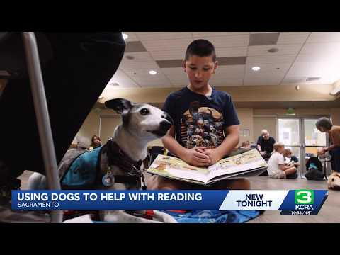Sacramento library program helps kids improve reading skills with dogs