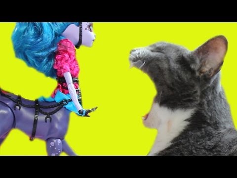 Meesha Kitty Loves Being Petted by Avia Trotter Monster High Doll