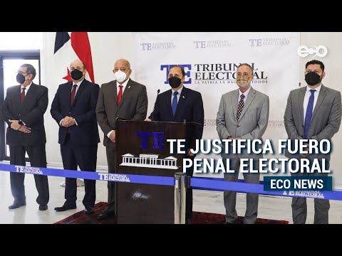 Tribunal Electoral justificó fuero penal en reformas electorales | ECO News