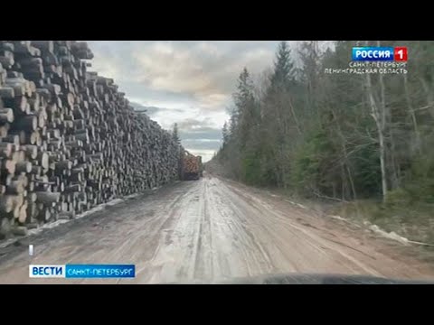 Вести Санкт-Петербург. Выпуск 9:00 от 07.04.2021