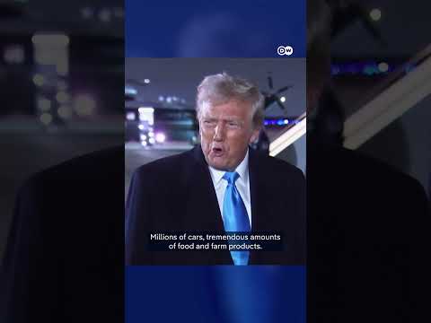 Trump says tariffs will 'definitely' hit the EU | DW News
