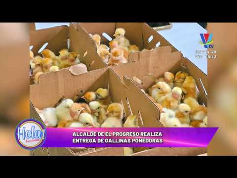 Alcalde de El Progreso realiza entrega de gallinas ponedoras