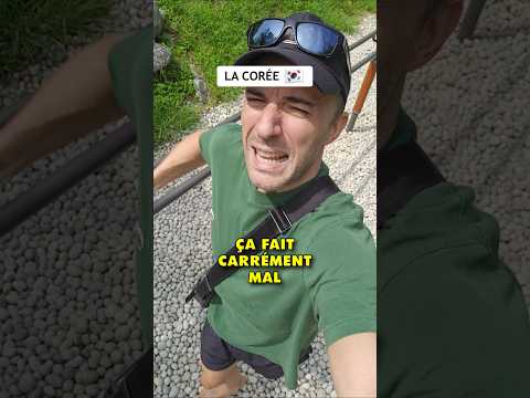 Ils ont tout compris ces coréens ????????