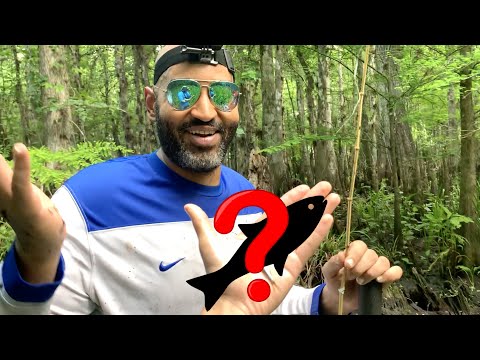 FIRST EVER MICRO FISHING! - Huge Man Gets Excited  Catching this micro fish was the most fun I've had in a long time! I can't thank Zain enough for tak