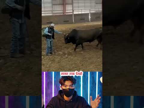 Animals never forget true love ❤️ #millionairemindset #motivation #factpariwar