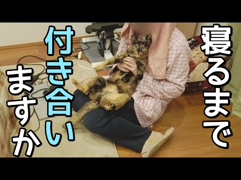 超、寂しがり屋なサビ猫のナイトルーティンが可愛すぎた！