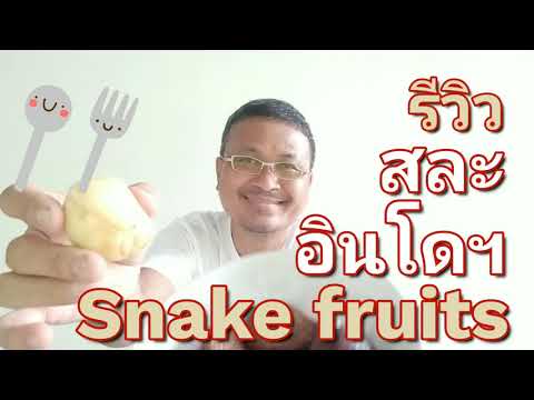 รีวิวสละอินโดฯ|Snakefruits