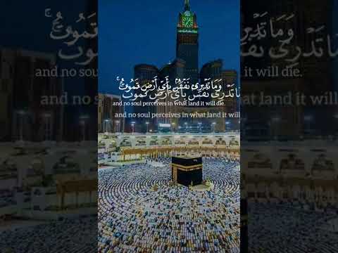 ياسر الدوسري