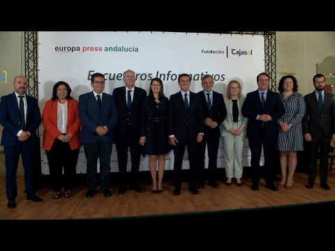 Diputación de Almería anuncia recuperación de tres frecuencias diarias en vuelo Almería-Madrid