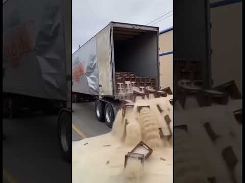 🦏🍺 Rhino Attack 2025! Wild Rhino Smashes Into Beer Truck! 😱🔥#rhino no#attack#beer#truck#animals