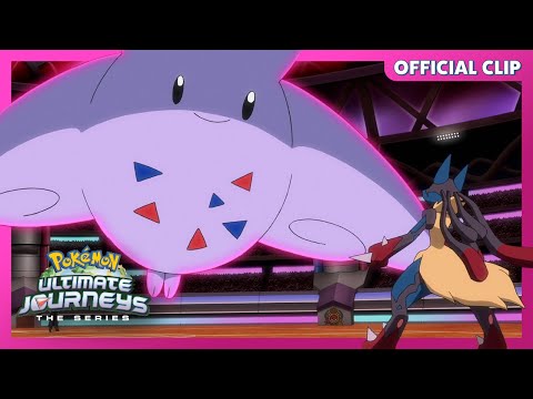 Pokemon TCG News