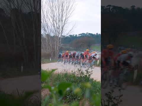 Flying on the gravel 💨 #stradebianche #cycling  #lottointermarche