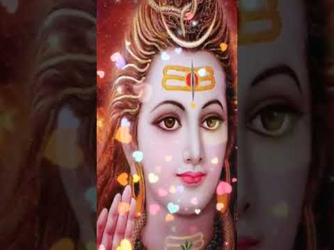 muskil me aaya #shortsfeed