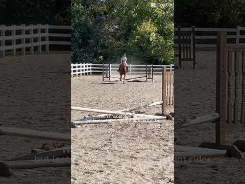 Last October 😔 🥀 🙏#equestrianjourney#growth #horseriding#horse#pony #mindset #rideiea #equestrian